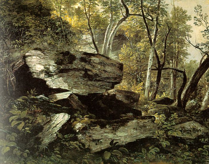 Study from Nature: Rocks and Trees